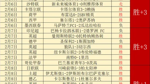 “哈蘭德领衔挪威足球征途，2026世界杯激情开战，挪威队挑战历史新高！”